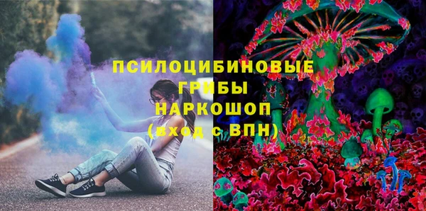 бошки Аркадак