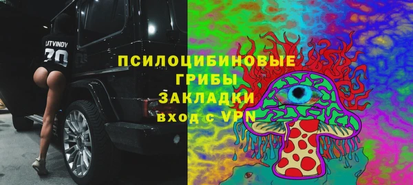 бошки Аркадак