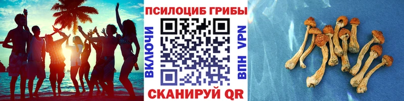 Псилоцибиновые грибы мухоморы  купить закладку  Михайловка 